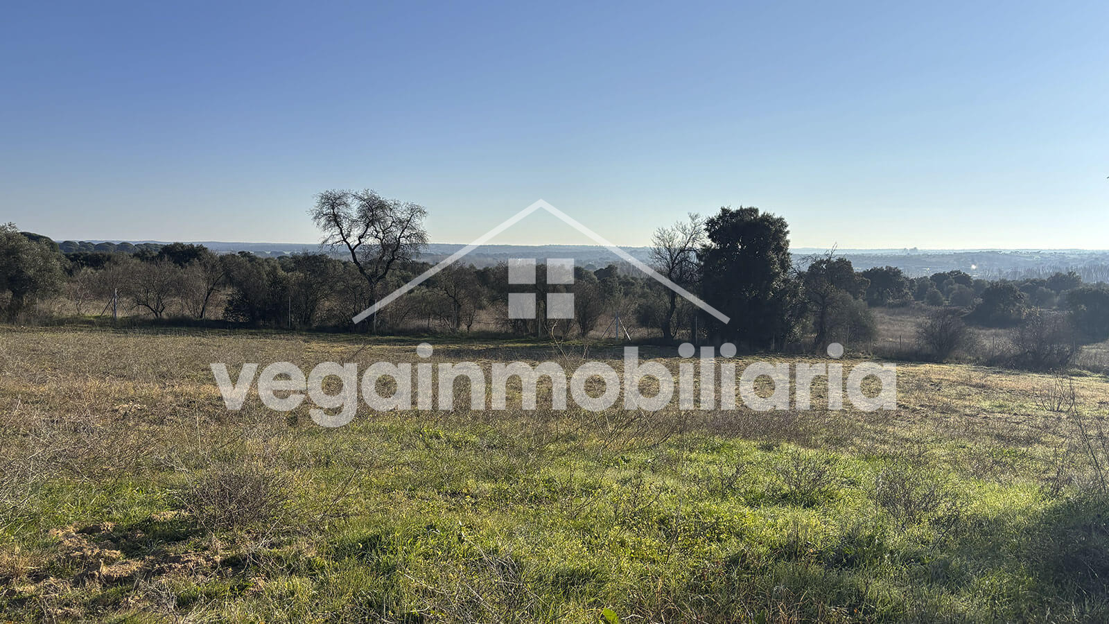 finca-inmueble-048-vega-inmobiliaria