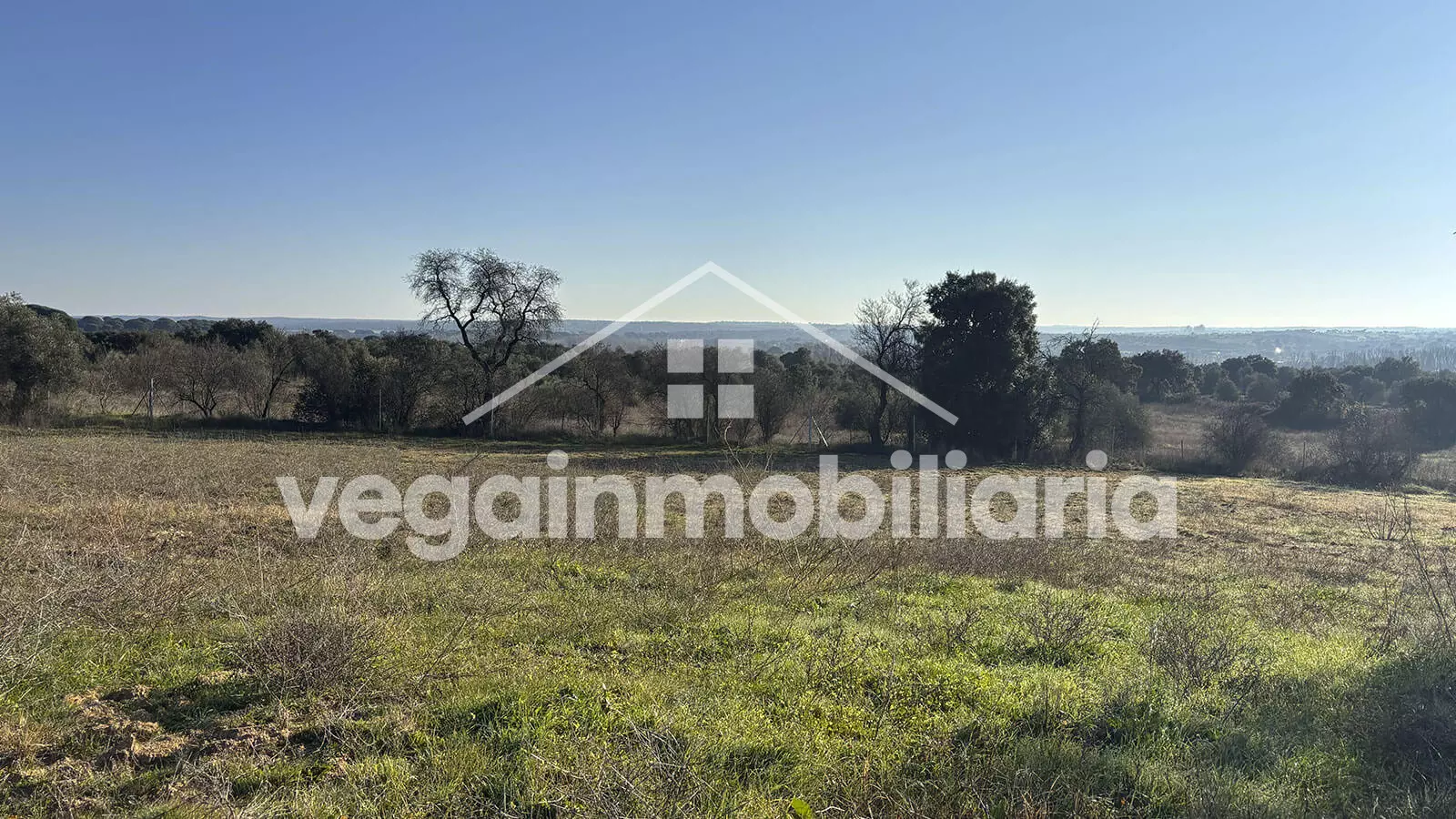 finca-inmueble-048-vega-inmobiliaria