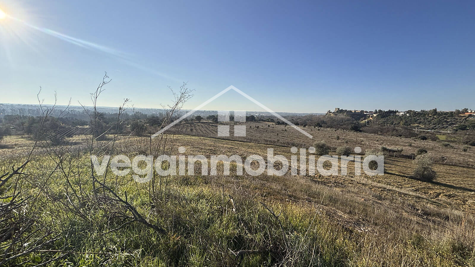 jardin-inmueble-048-vega-inmobiliaria