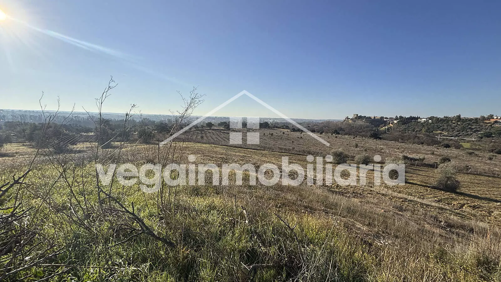jardin-inmueble-048-vega-inmobiliaria