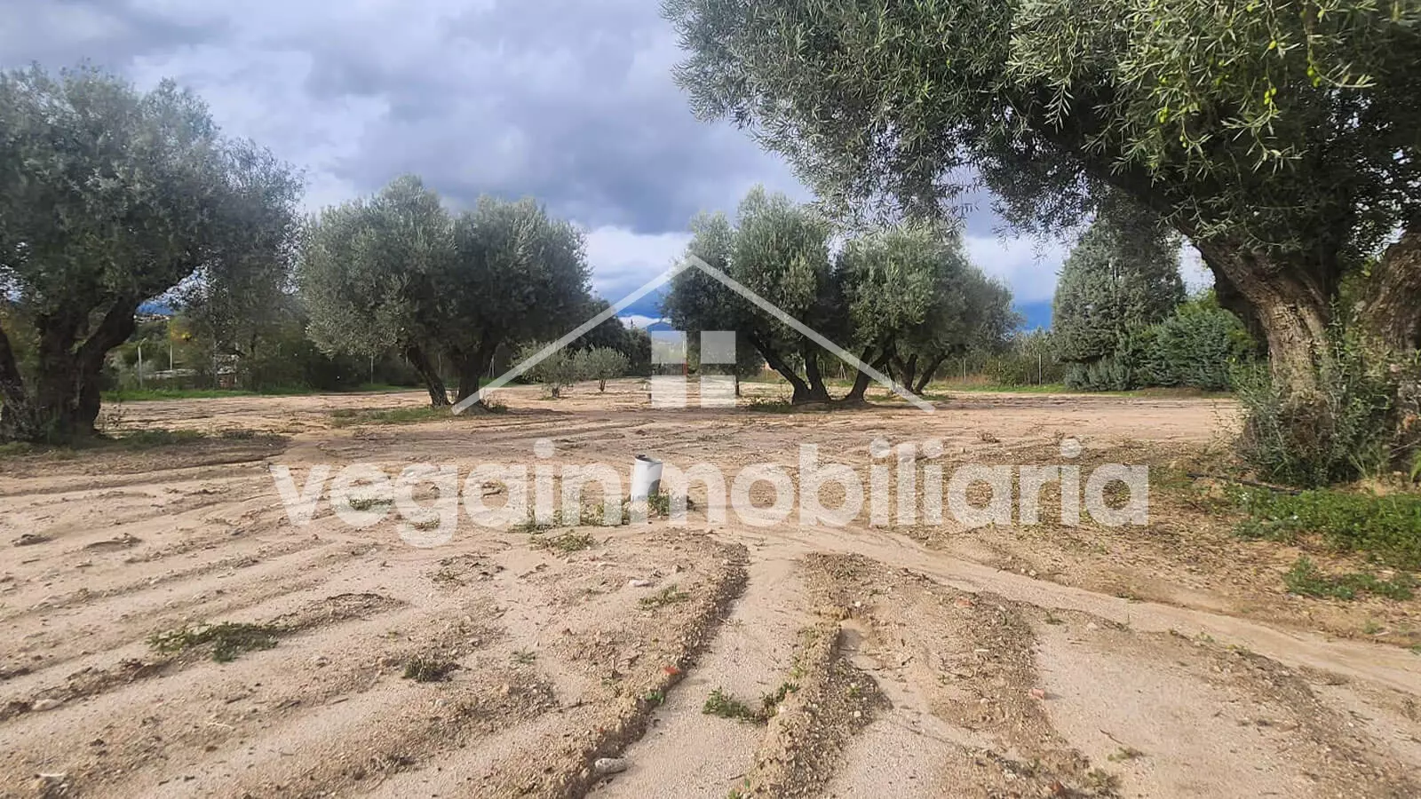 jardin-inmueble-052-vega-inmobiliaria