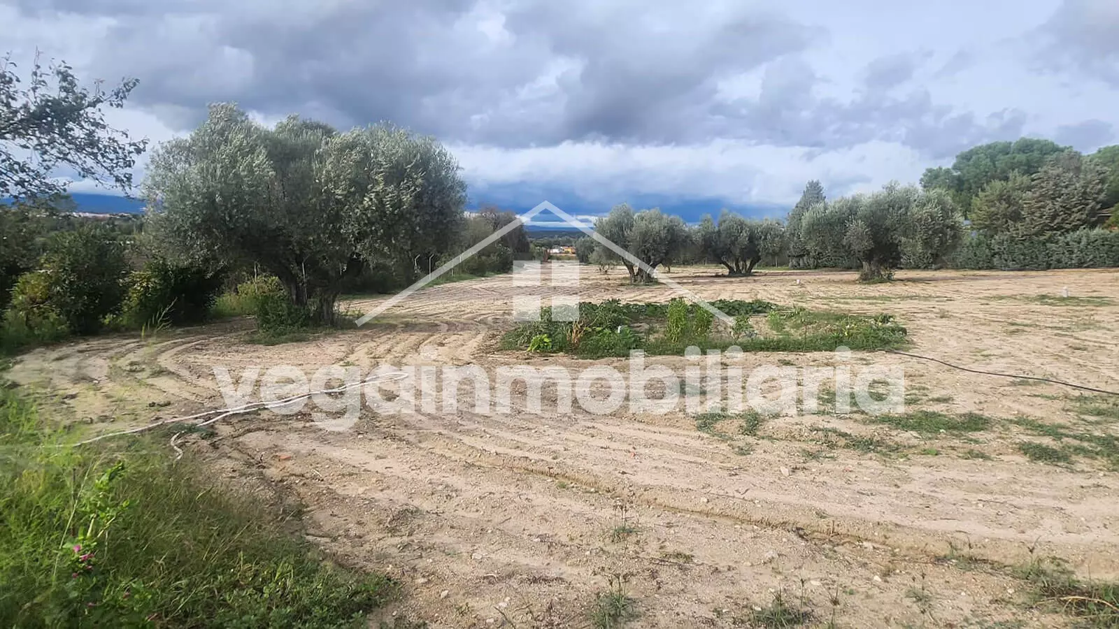 parcela-inmueble-052-vega-inmobiliaria