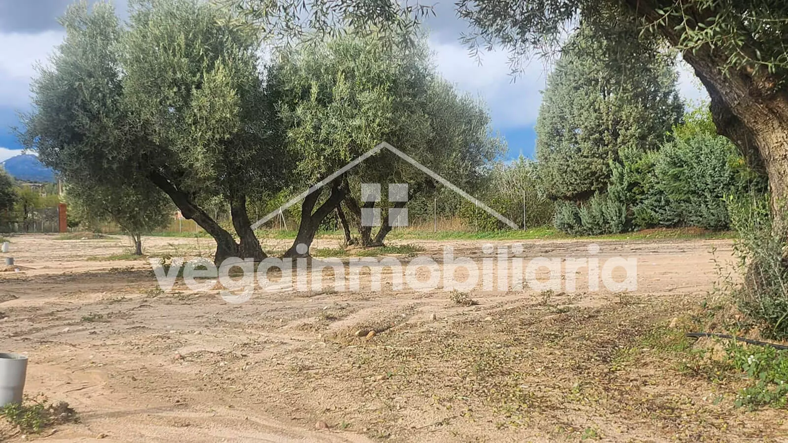 suelo-inmueble-052-vega-inmobiliaria
