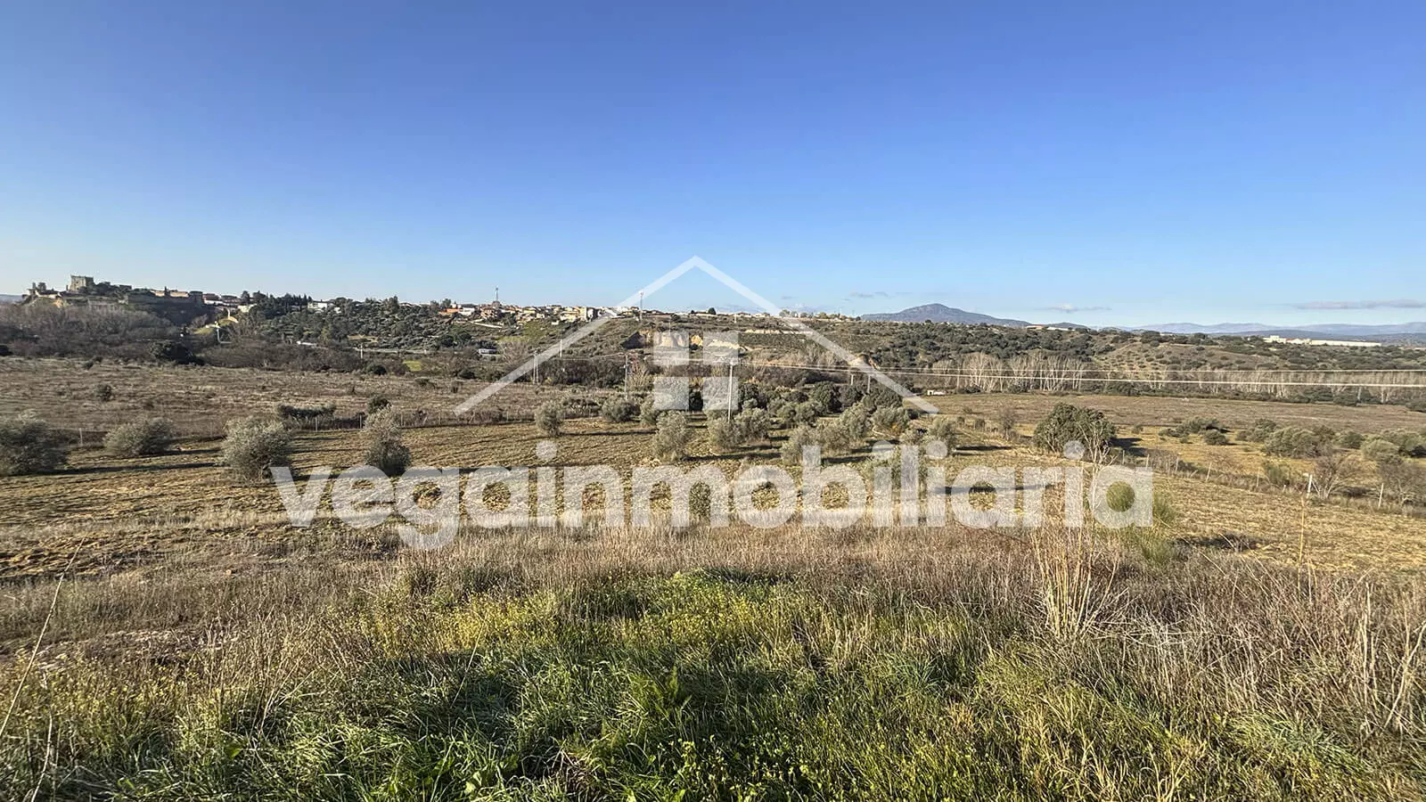 terreno-inmueble-048-vega-inmobiliaria