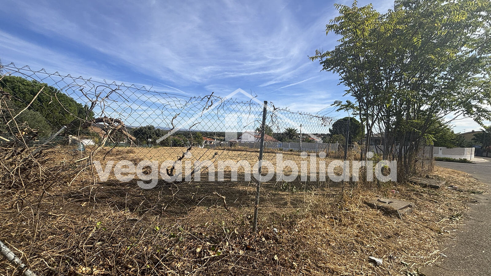 Venta parcela en Casar de Escalona - Vega Inmobiliaria