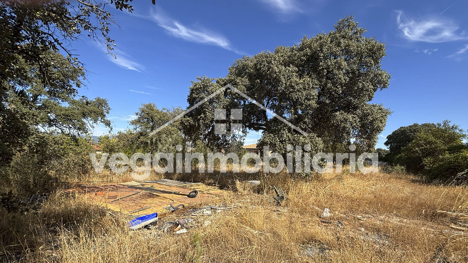 jardin-inmueble-100-vega-inmobiliaria