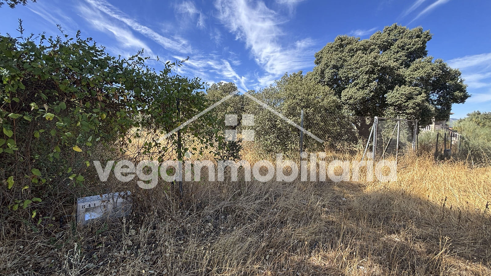 jardin-inmueble-101-vega-inmobiliaria