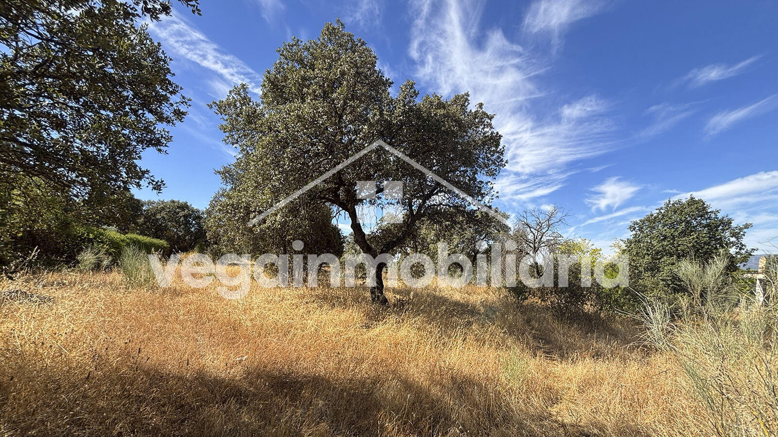 parcela-inmueble-100-vega-inmobiliaria