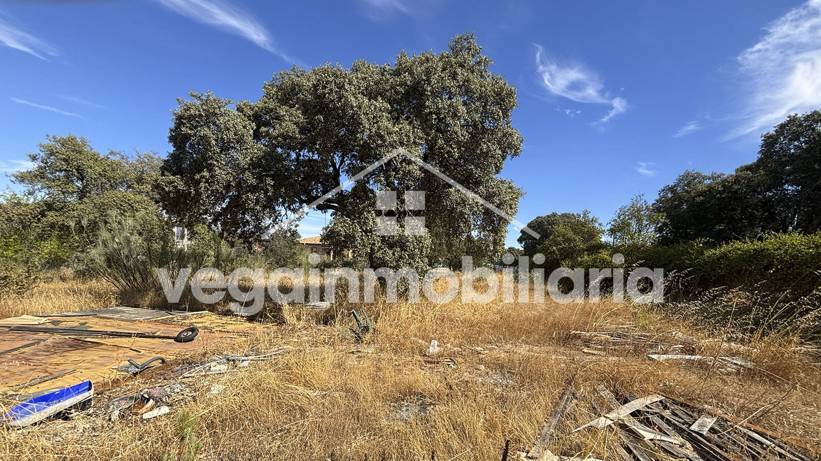 parcela-inmueble-101-vega-inmobiliaria