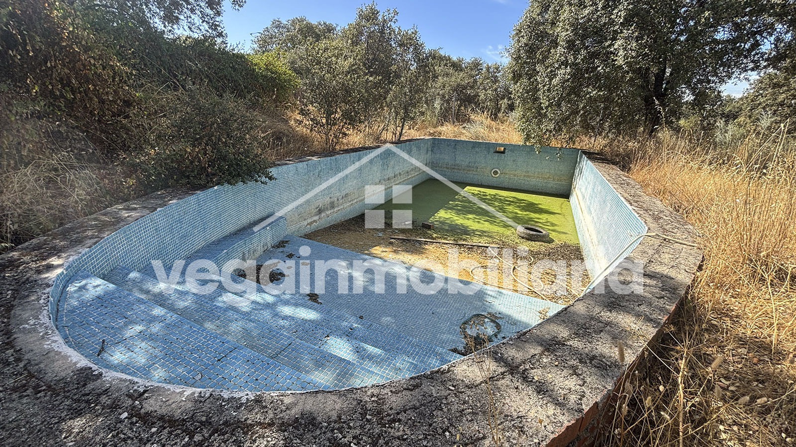 piscina-inmueble-101-vega-inmobiliaria