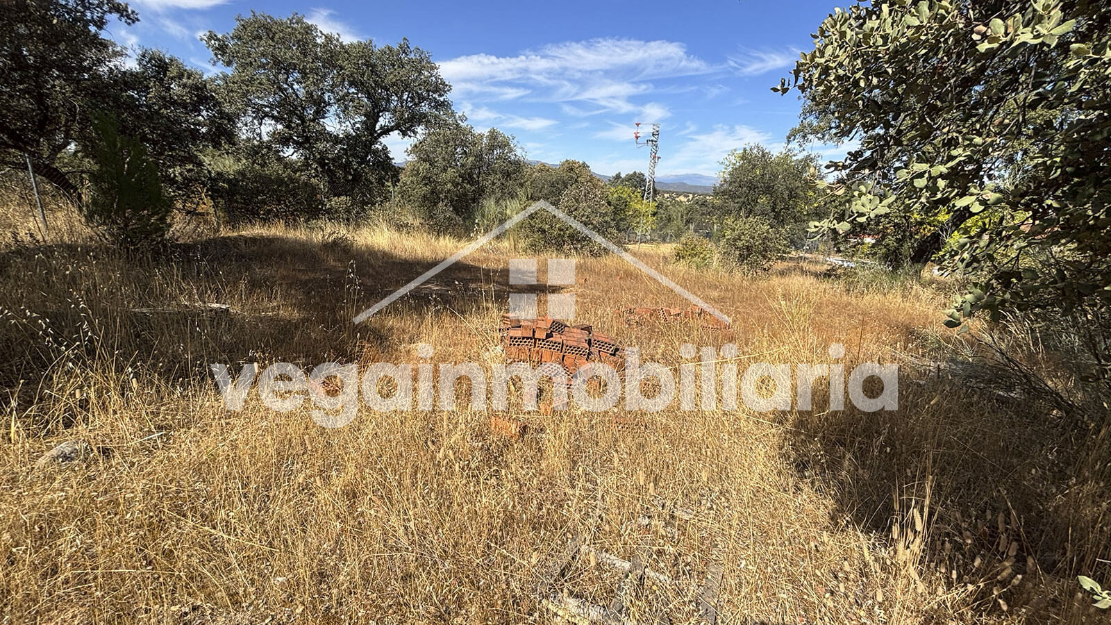 tierra-inmueble-100-vega-inmobiliaria