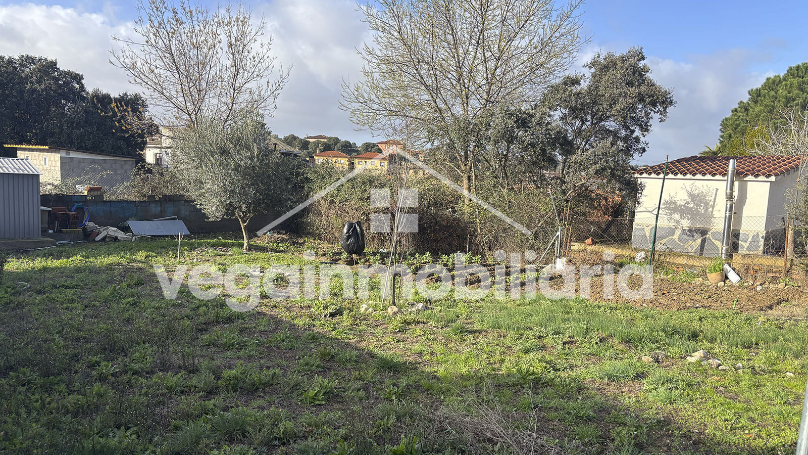 huerto-inmueble-117-vega-inmobiliaria