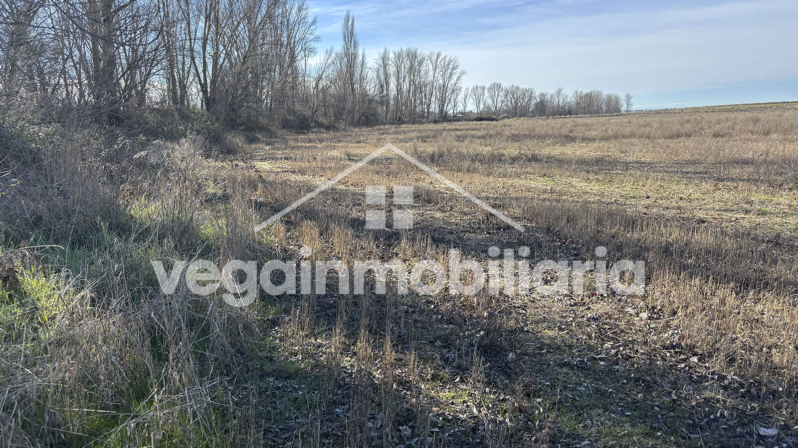 inmueble-116-vega-inmobiliaria