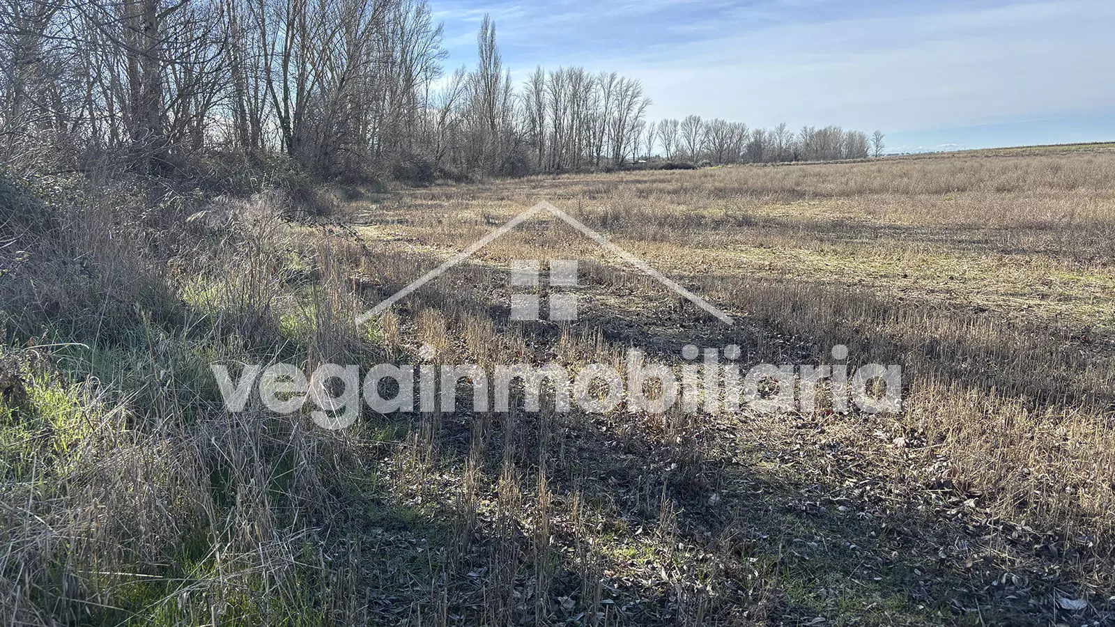inmueble-116-vega-inmobiliaria