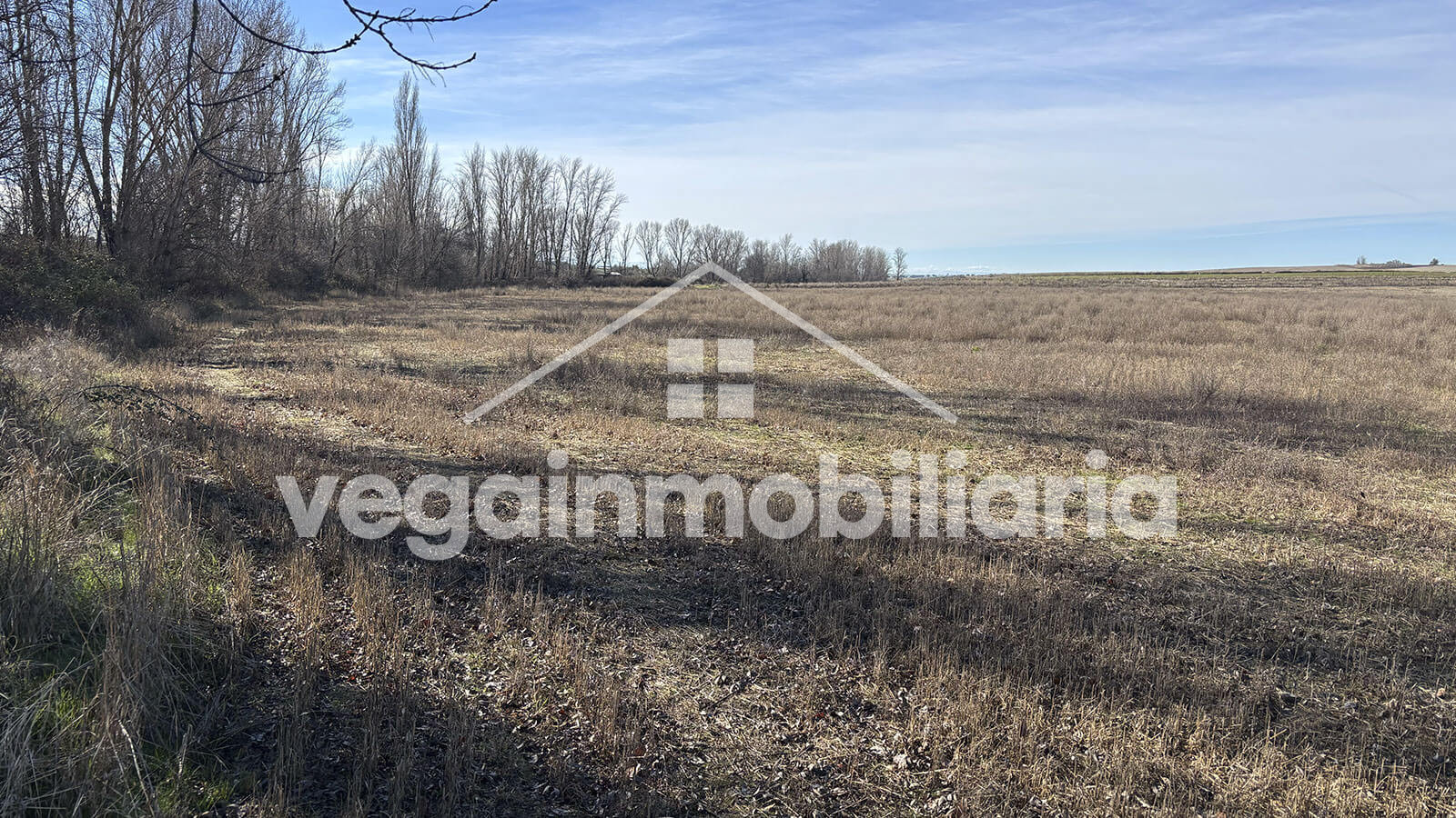 terreno-inmueble-116-vega-inmobiliaria