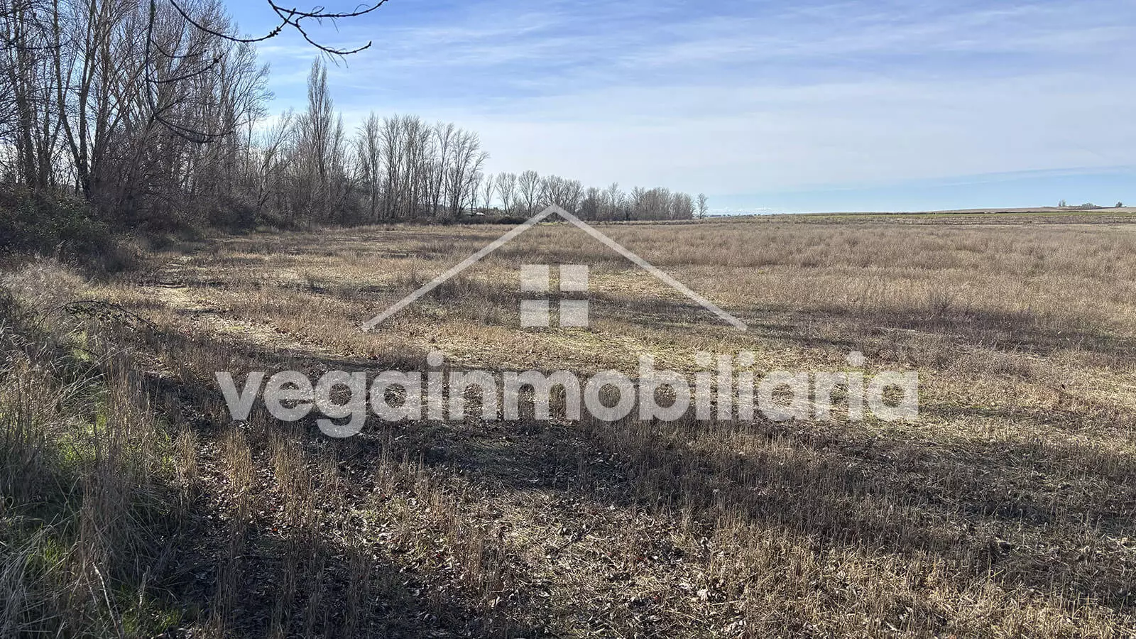 terreno-inmueble-116-vega-inmobiliaria