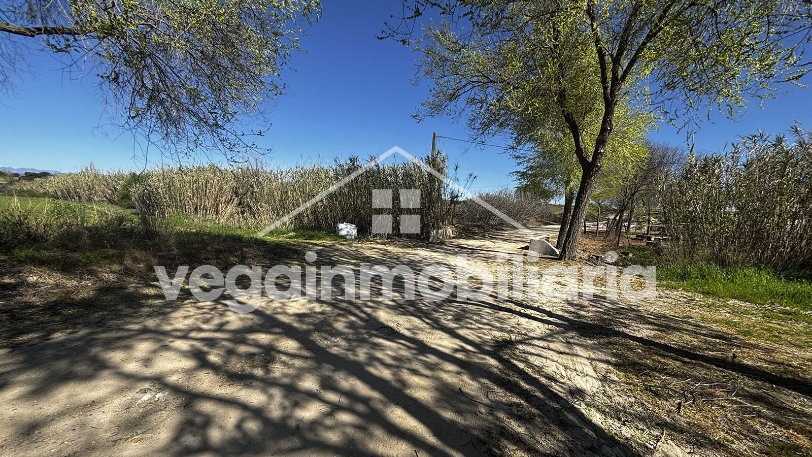 camino-inmueble-124-vega-inmobiliaria