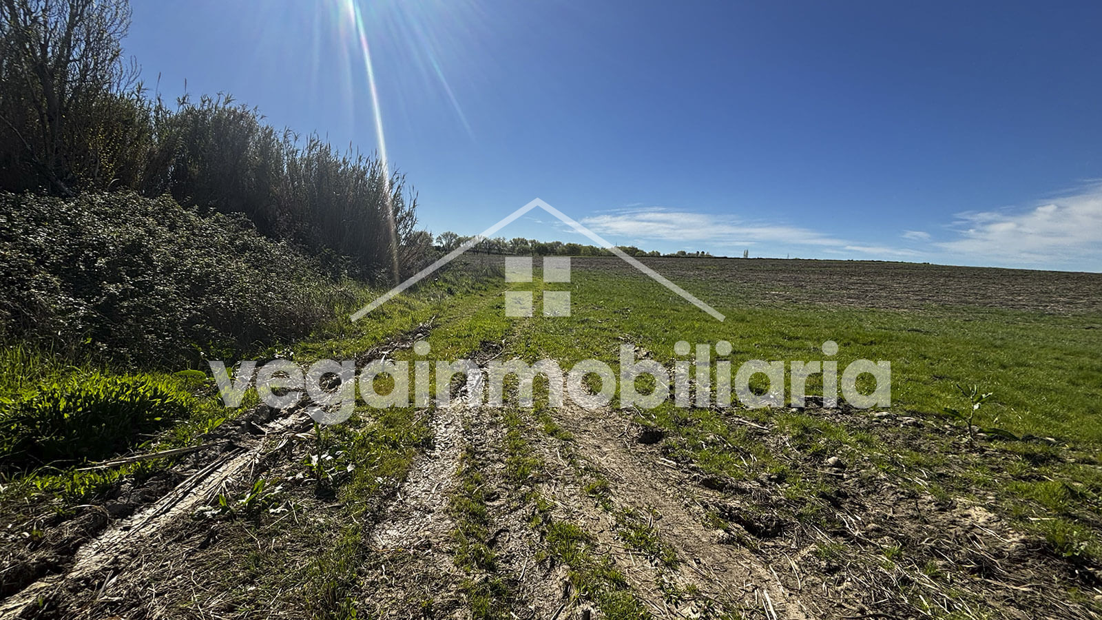 inmueble-123-vega-inmobiliaria