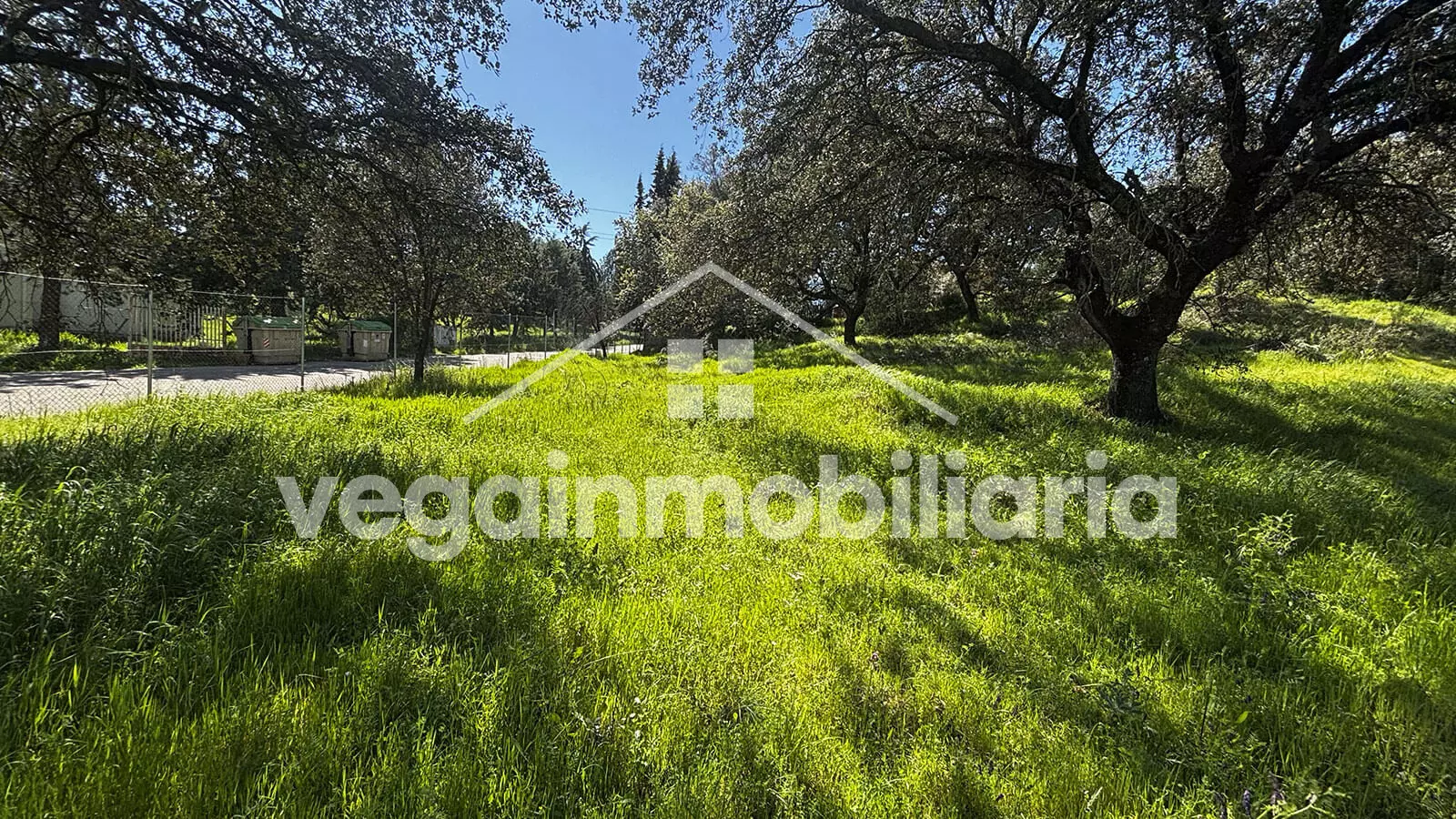 jardin-inmueble-130-vega-inmobiliaria