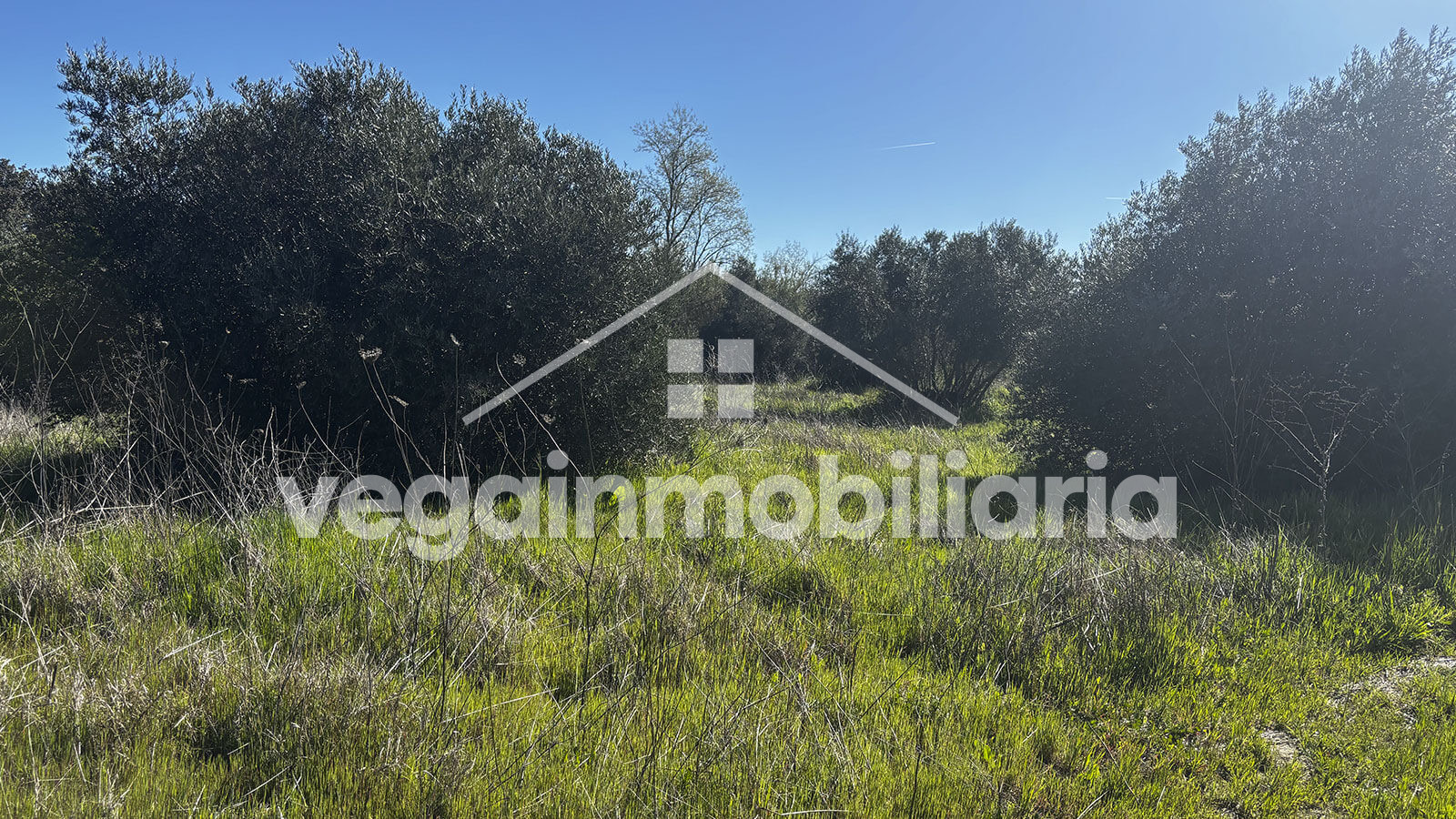jardin-rustico-inmueble-124-vega-inmobiliaria