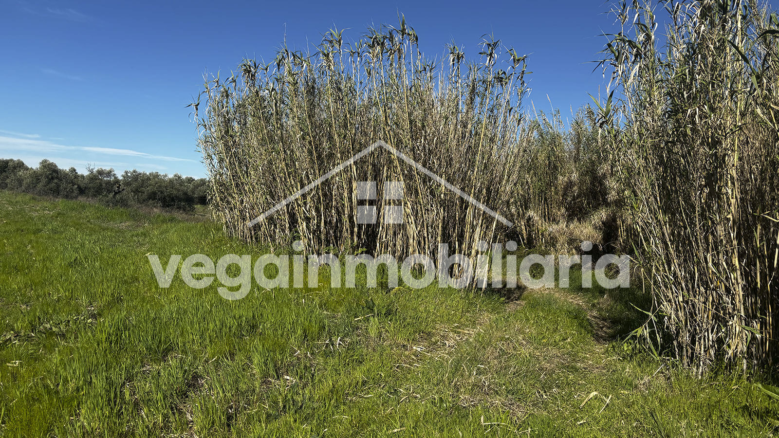parcela-inmueble-123-vega-inmobiliaria