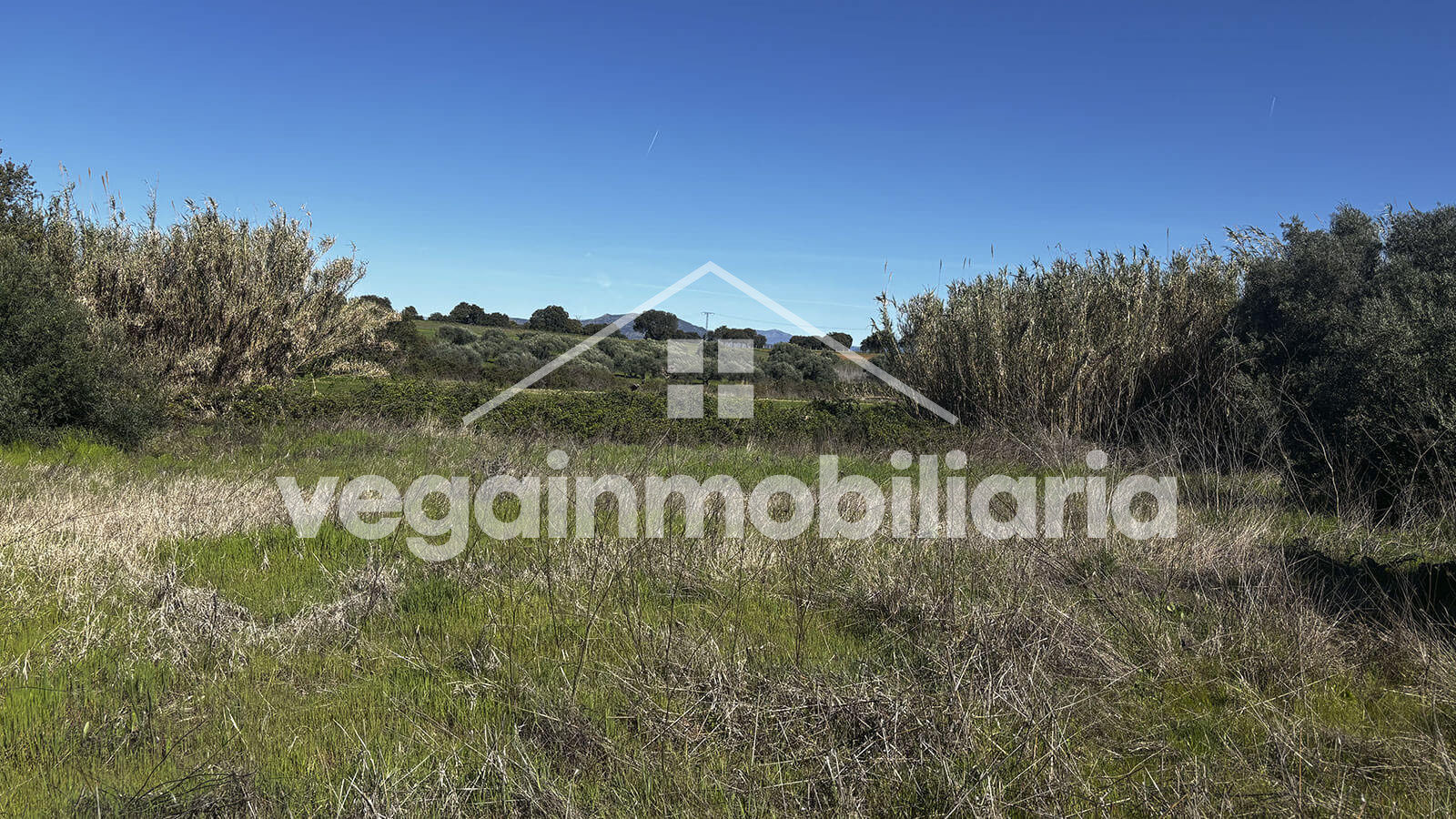 parcela-inmueble-124-vega-inmobiliaria