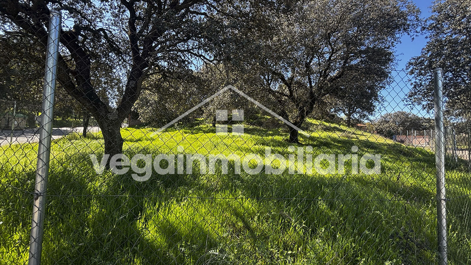parcela-inmueble-130-vega-inmobiliaria