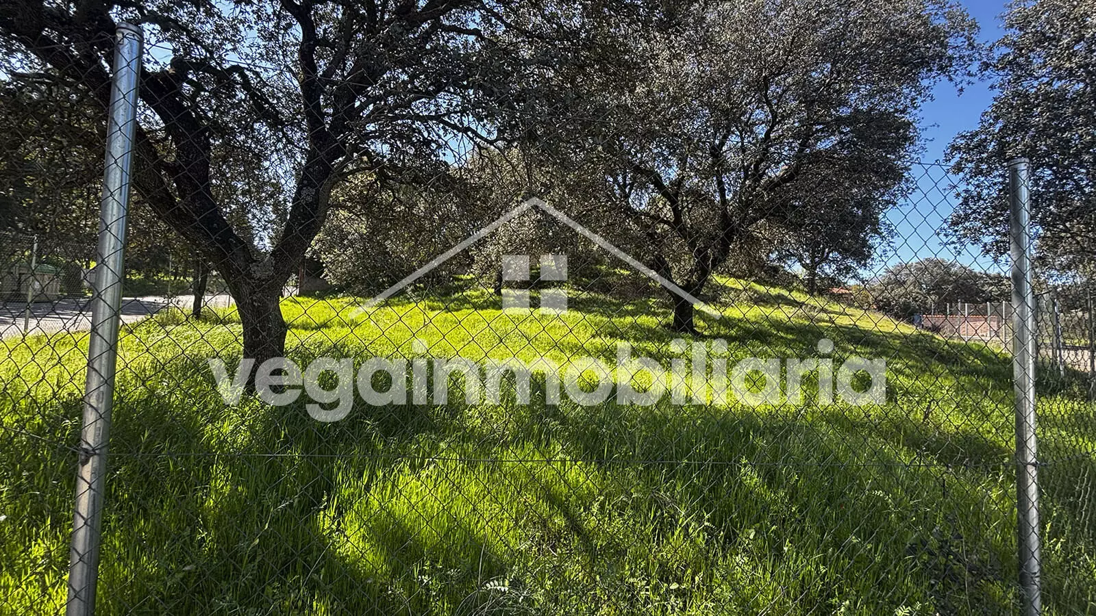 parcela-inmueble-130-vega-inmobiliaria