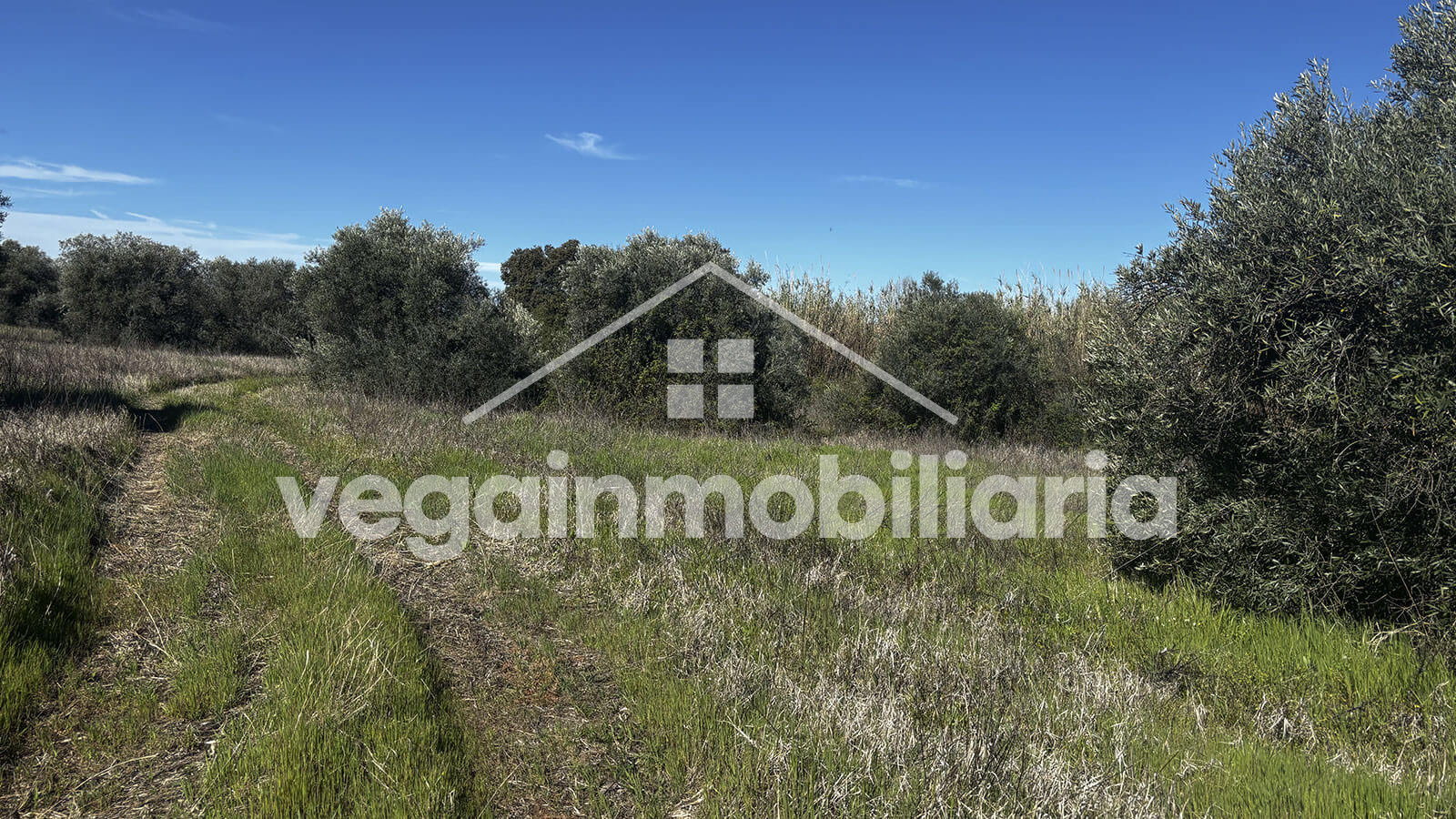 rustica-inmueble-124-vega-inmobiliaria