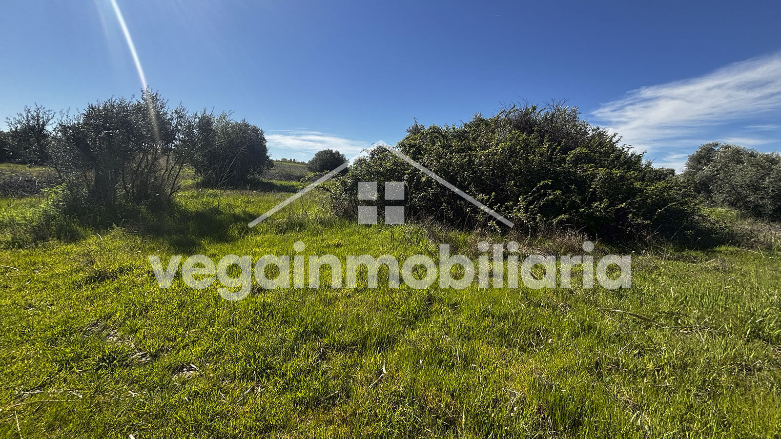 suelo-inmueble-123-vega-inmobiliaria