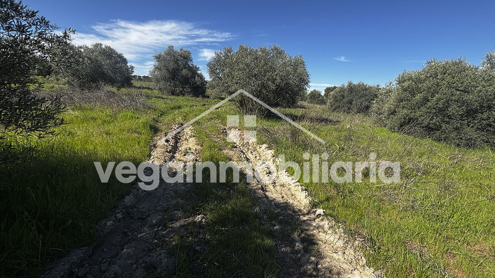suelo-inmueble-124-vega-inmobiliaria