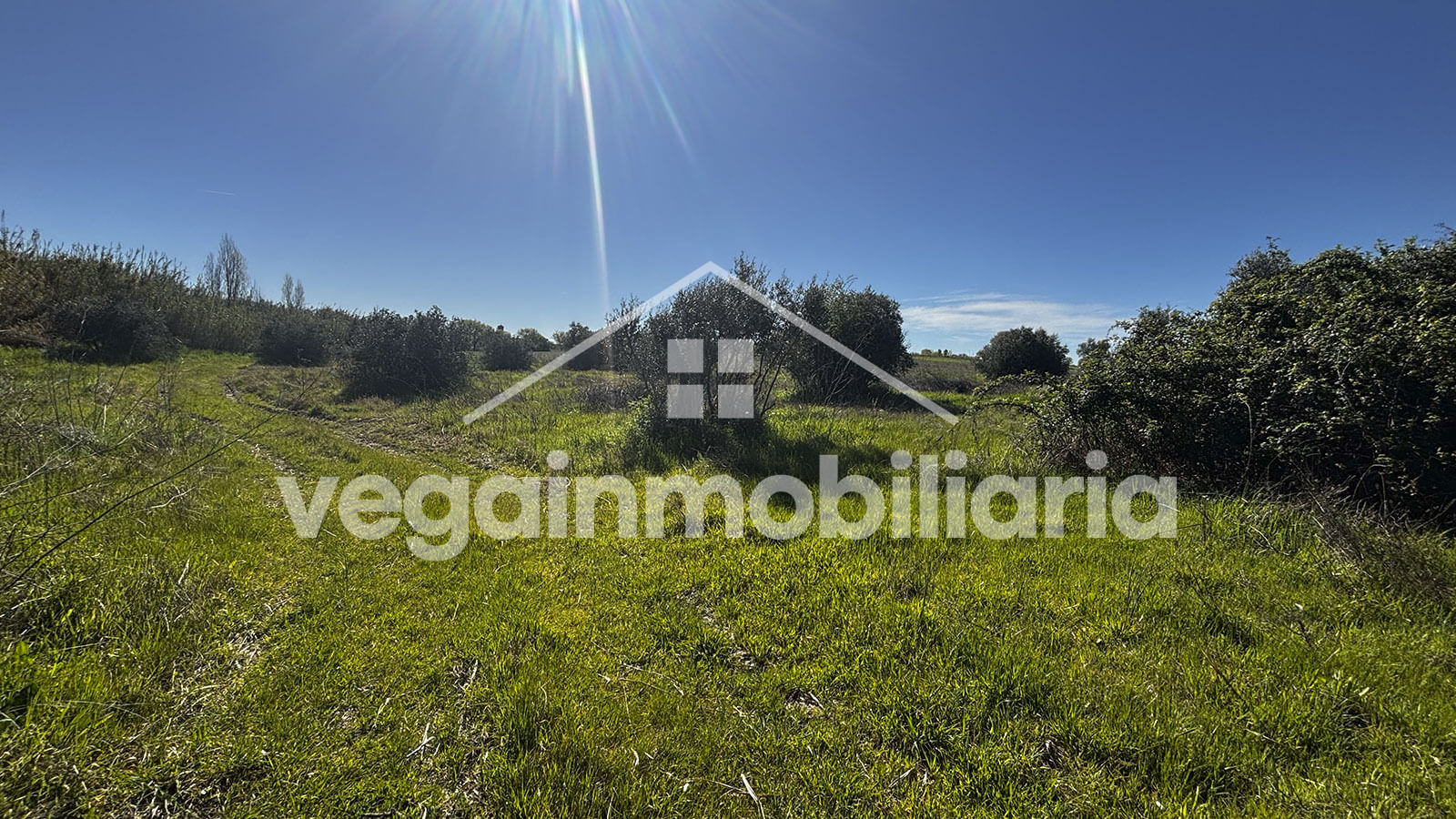 terreno-inmueble-123-vega-inmobiliaria
