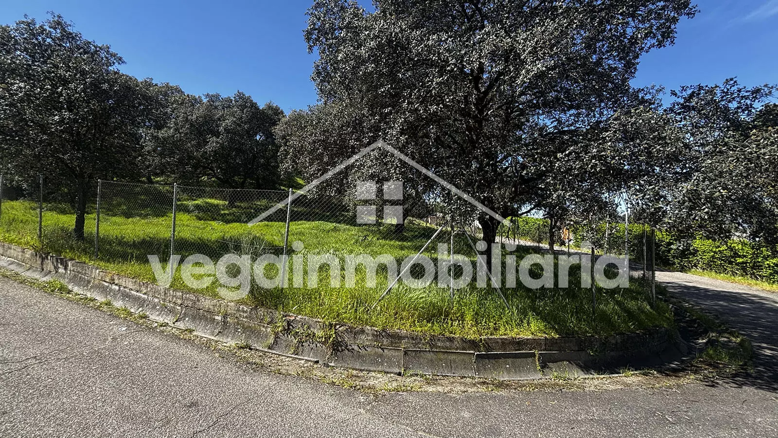 terreno-inmueble-130-vega-inmobiliaria