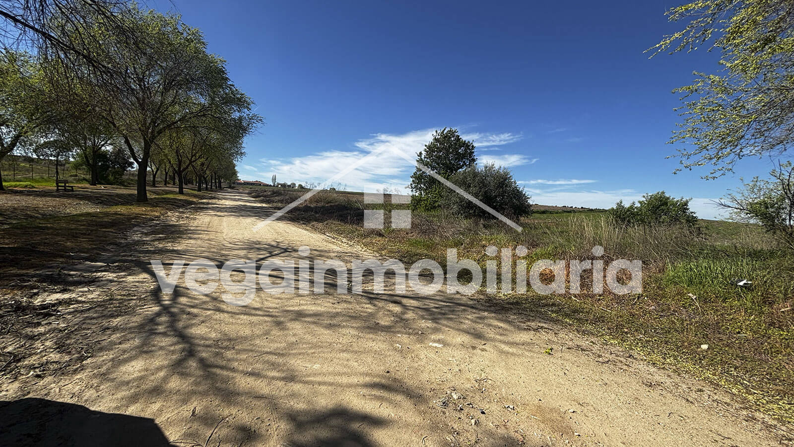 tierra-inmueble-124-vega-inmobiliaria