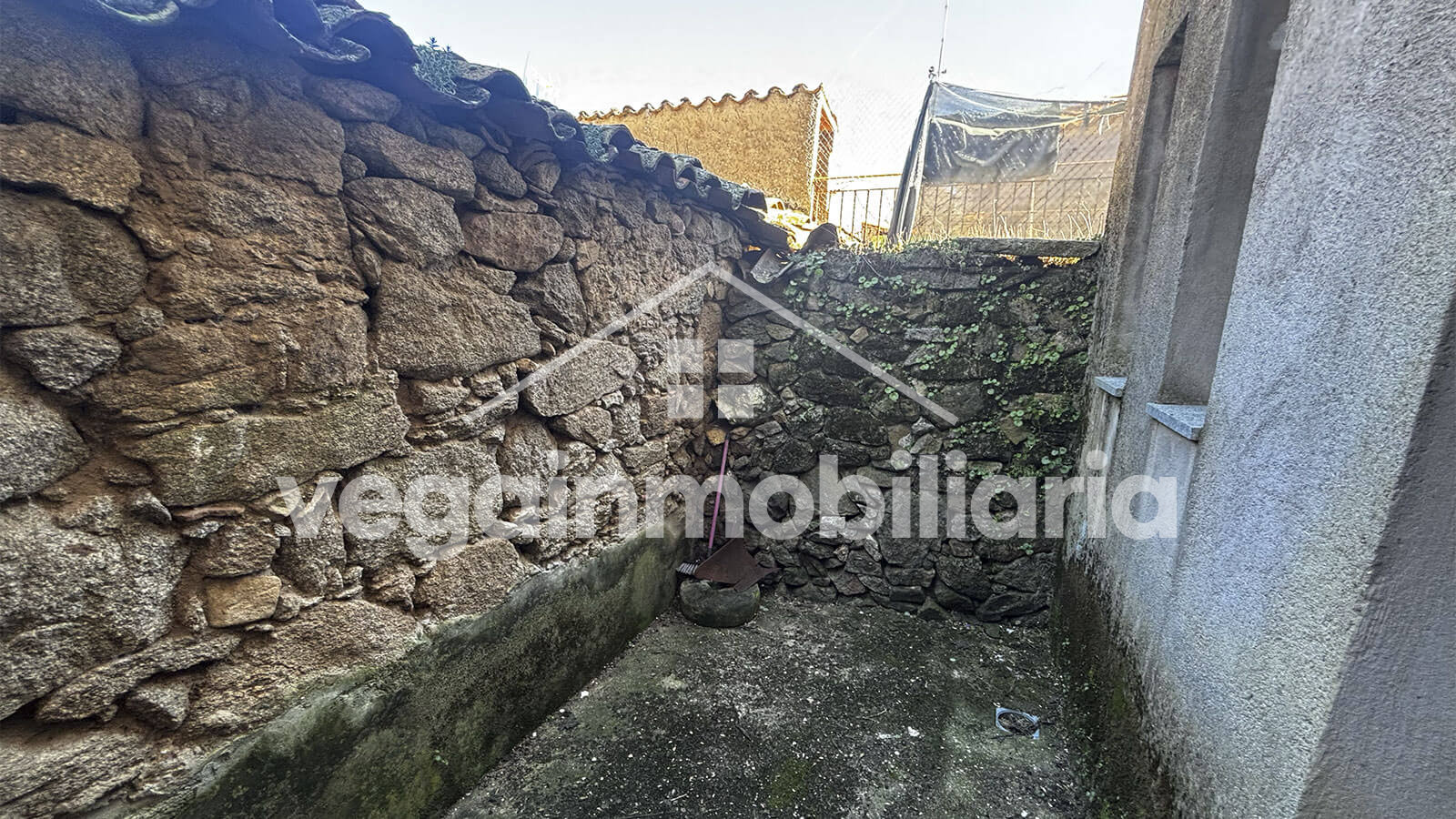 patio-inmueble-133-vega-inmobiliaria