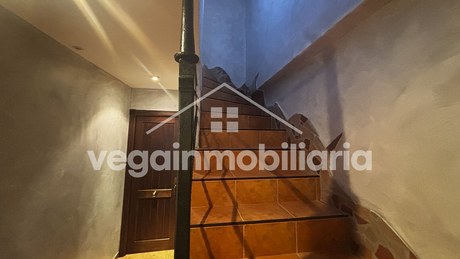 portal-inmueble-133-vega-inmobiliaria