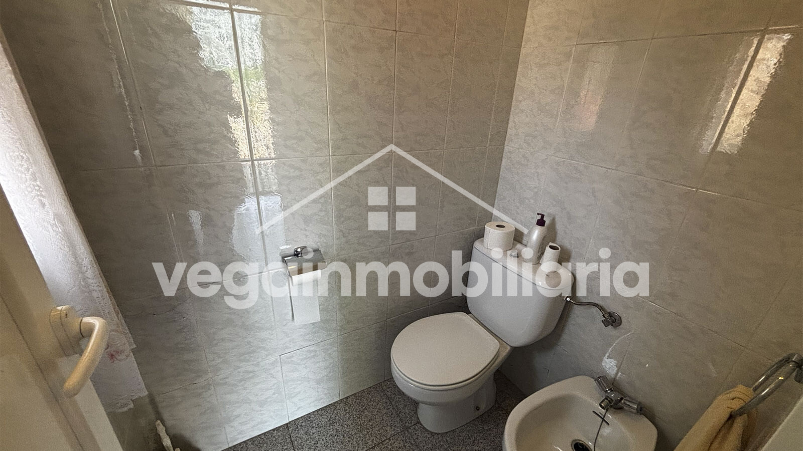 aseo-piscina-inmueble-141-vega-inmobiliaria