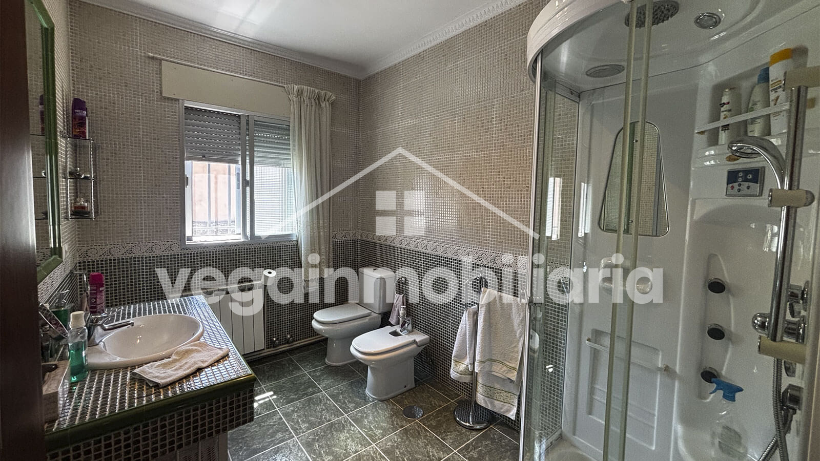 baño-inmueble-141-vega-inmobiliaria