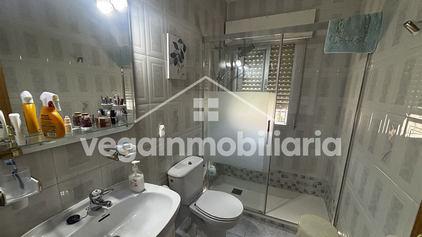 baño-inmueble-145-vega-inmobiliariajpg