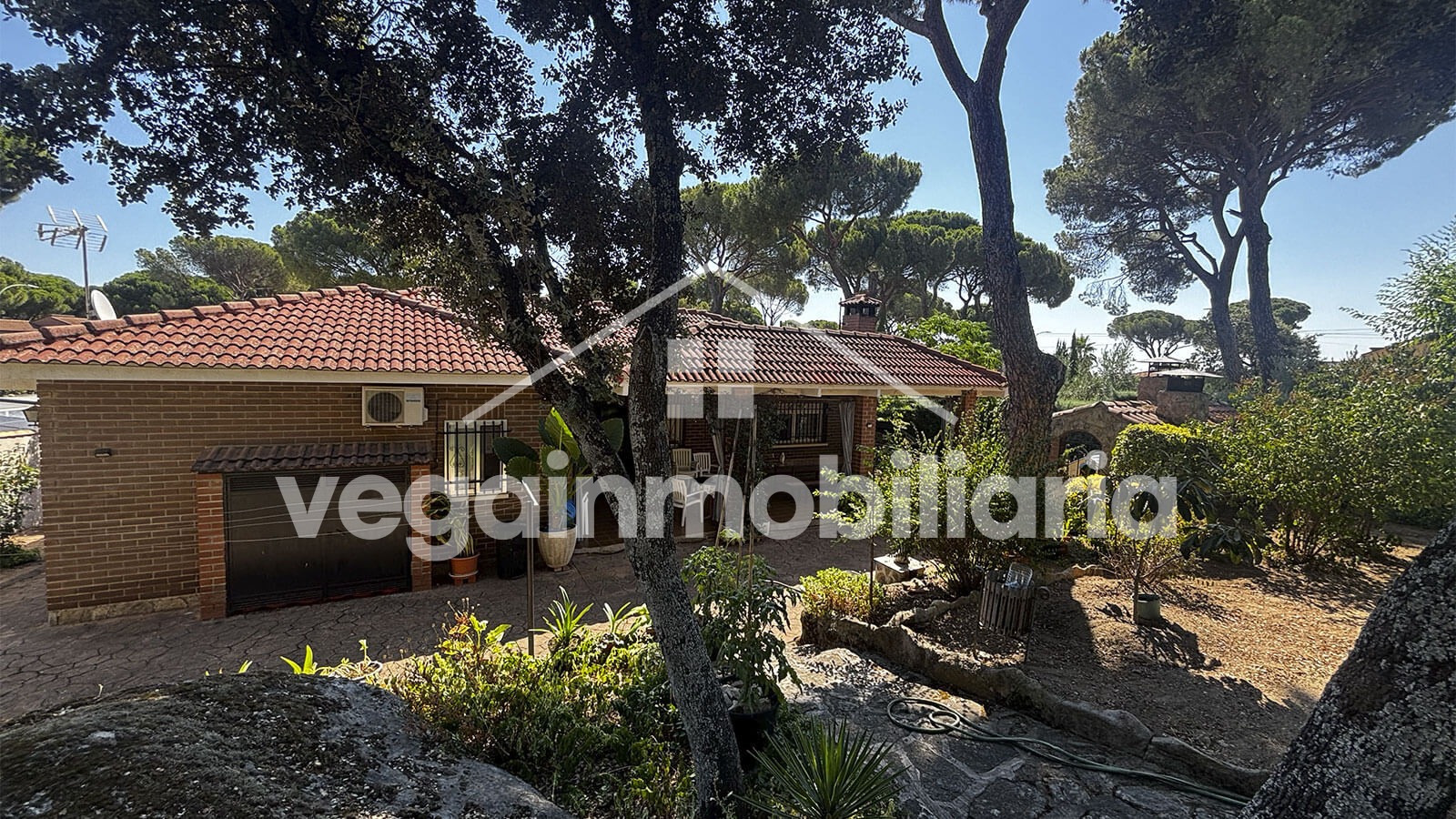 jardin-inmueble-145-vega-inmobiliariajpg