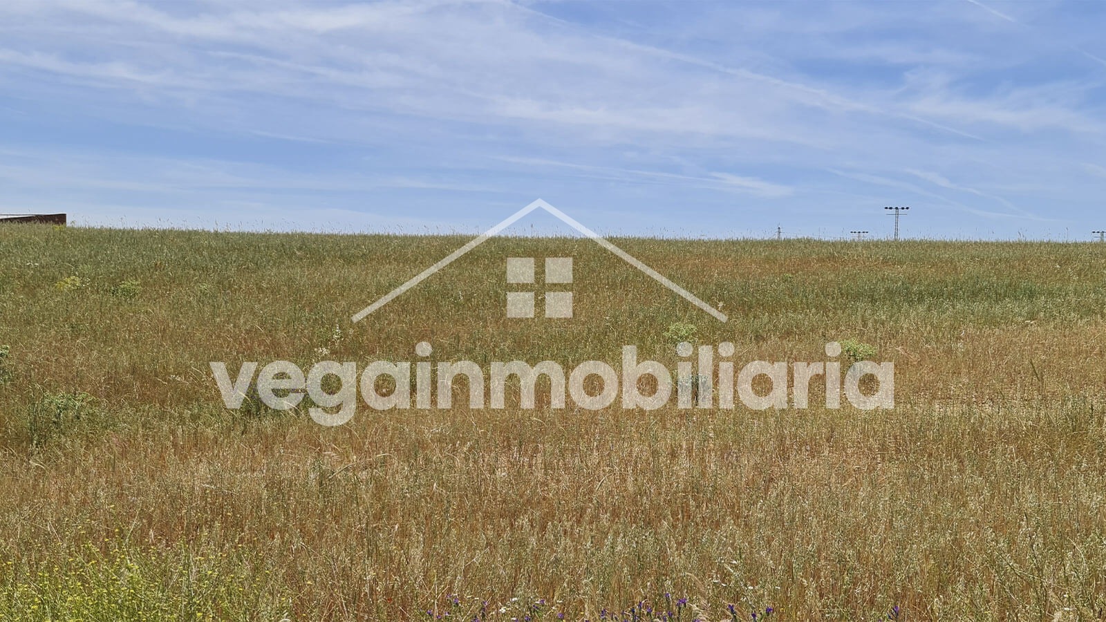 parcela-inmueble-073-vega-inmobiliaria
