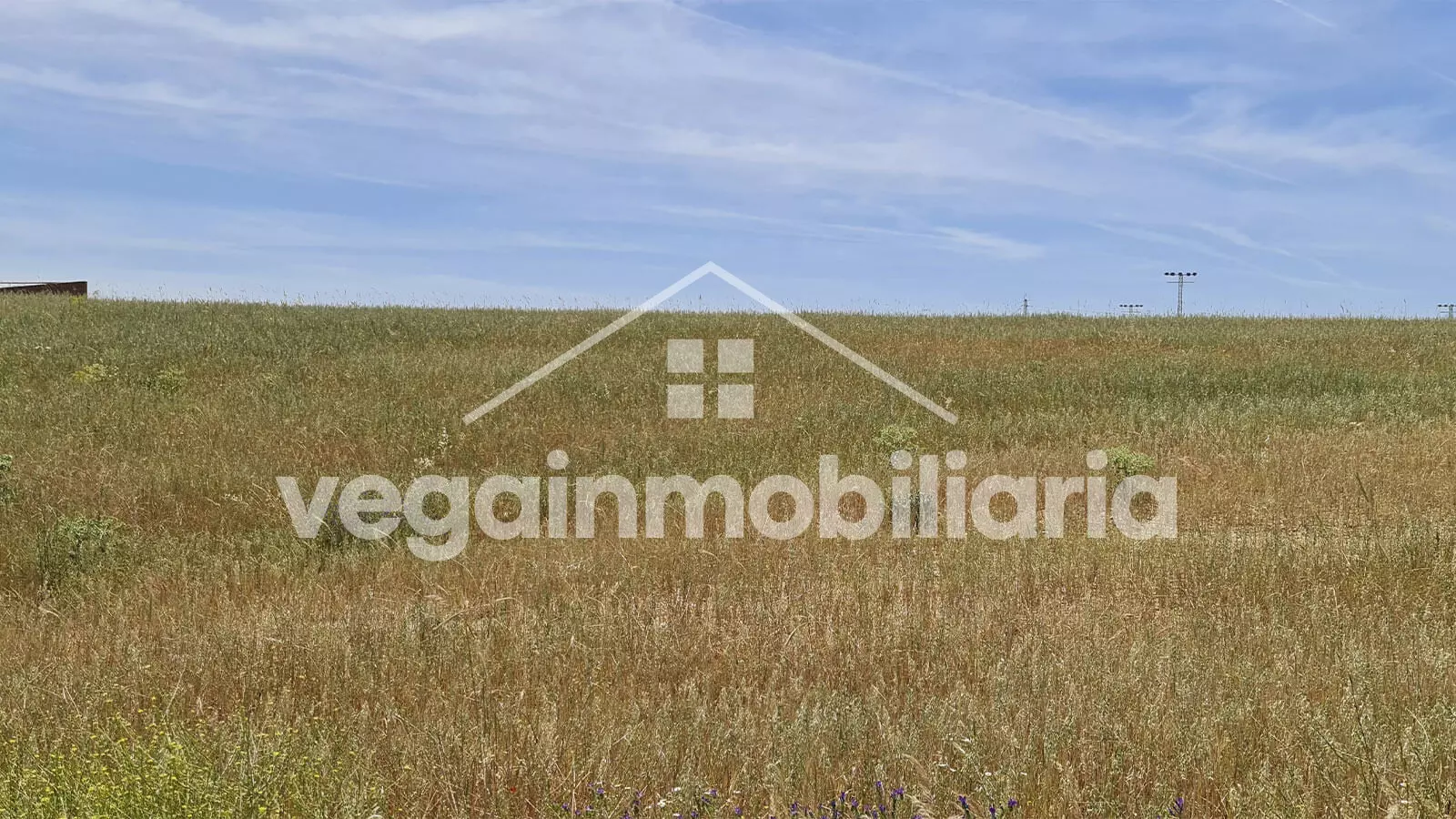 parcela-inmueble-073-vega-inmobiliaria