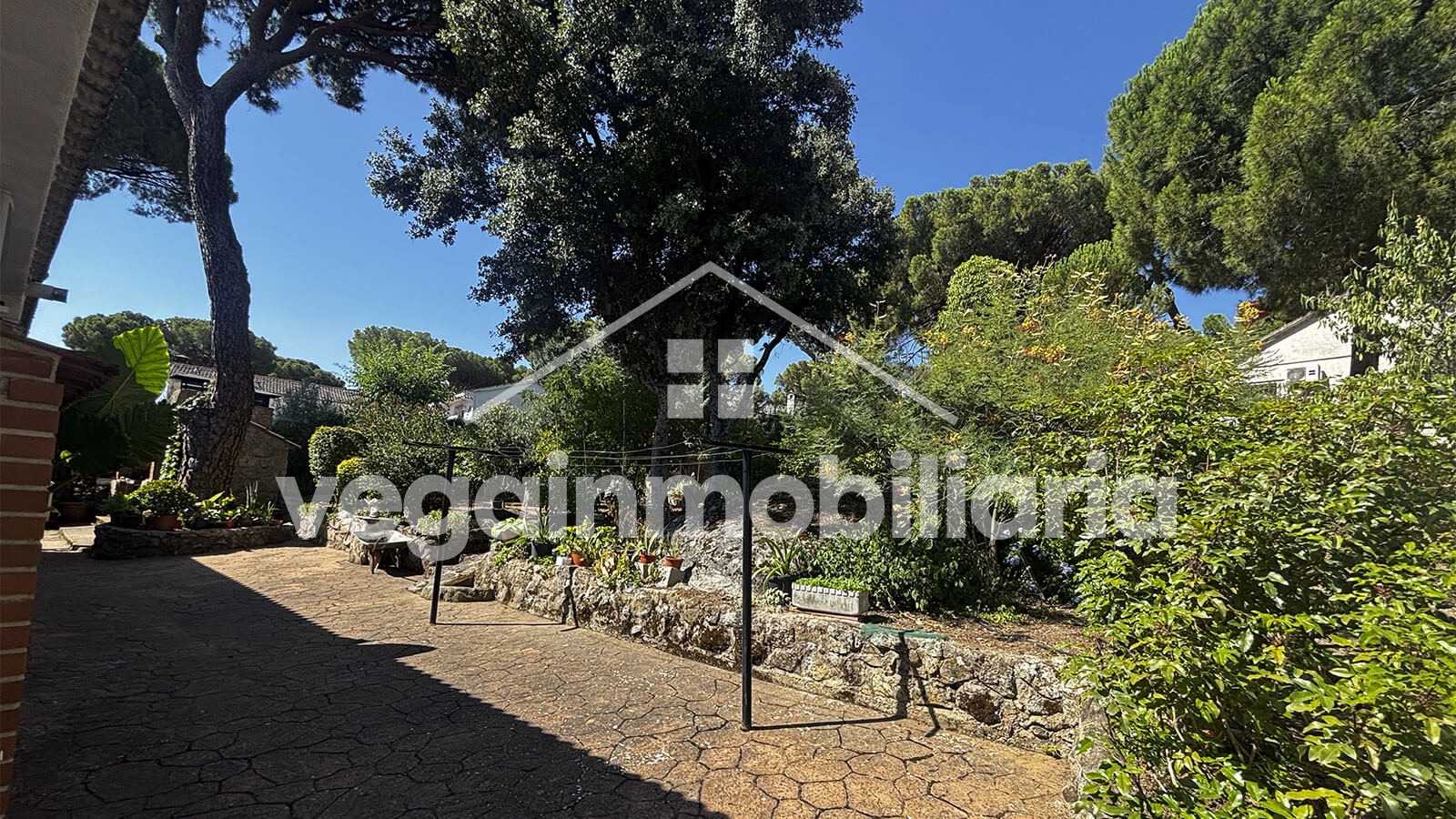 terreno-inmueble-145-vega-inmobiliariajpg