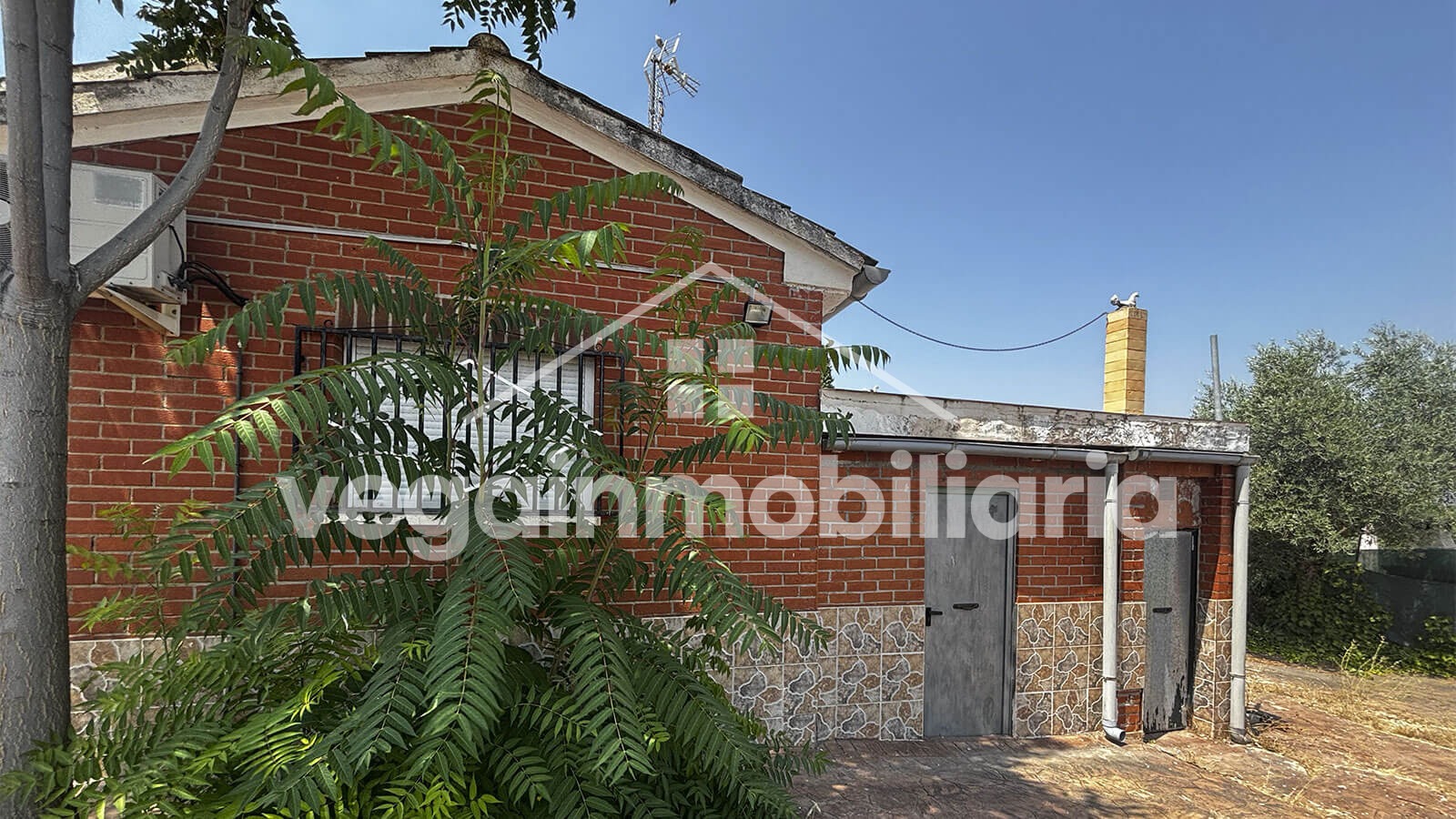 terrreno-inmueble-146-vega-inmobiliaria