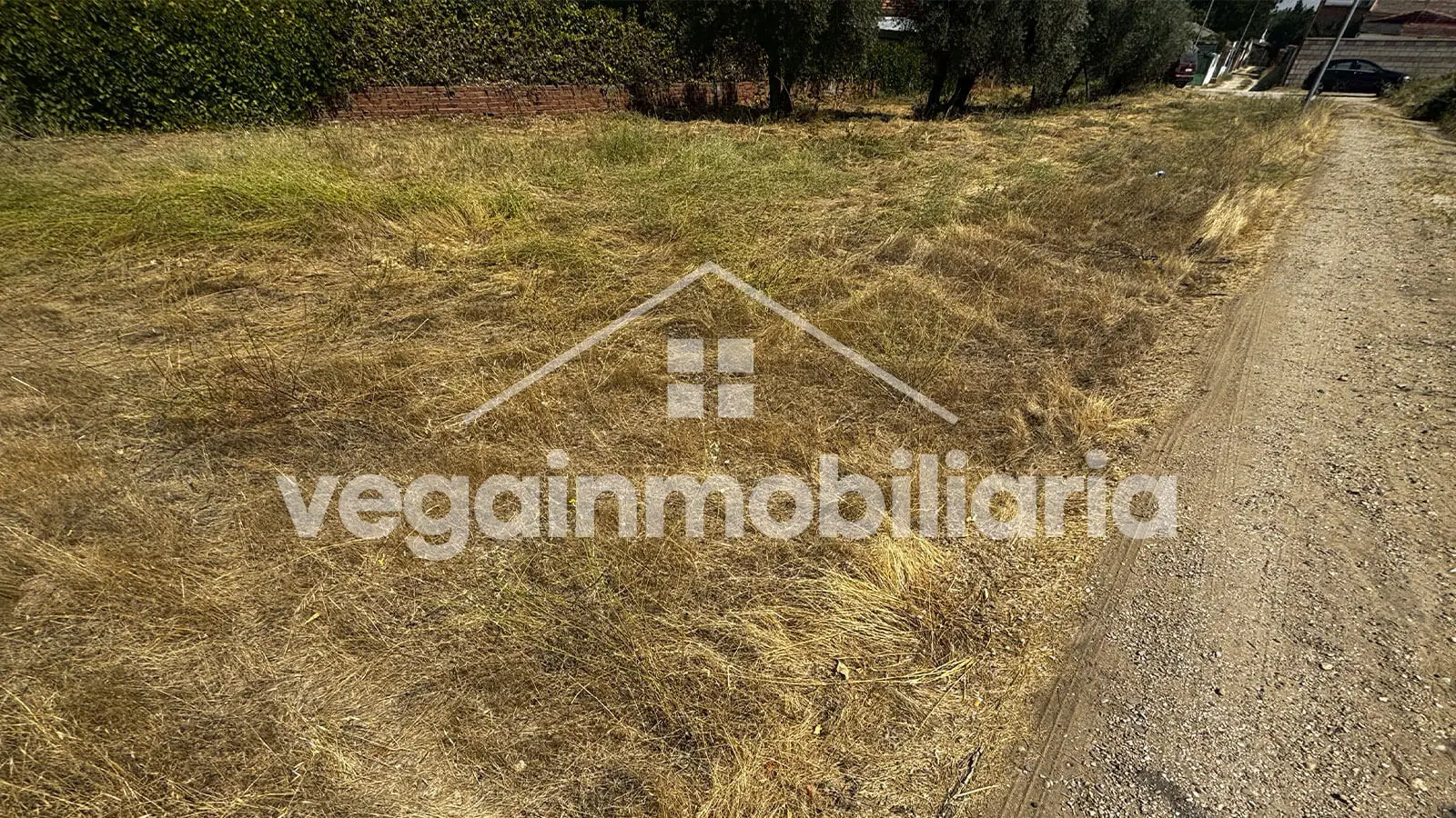 jardin-inmueble-159-vega-inmobiliaria