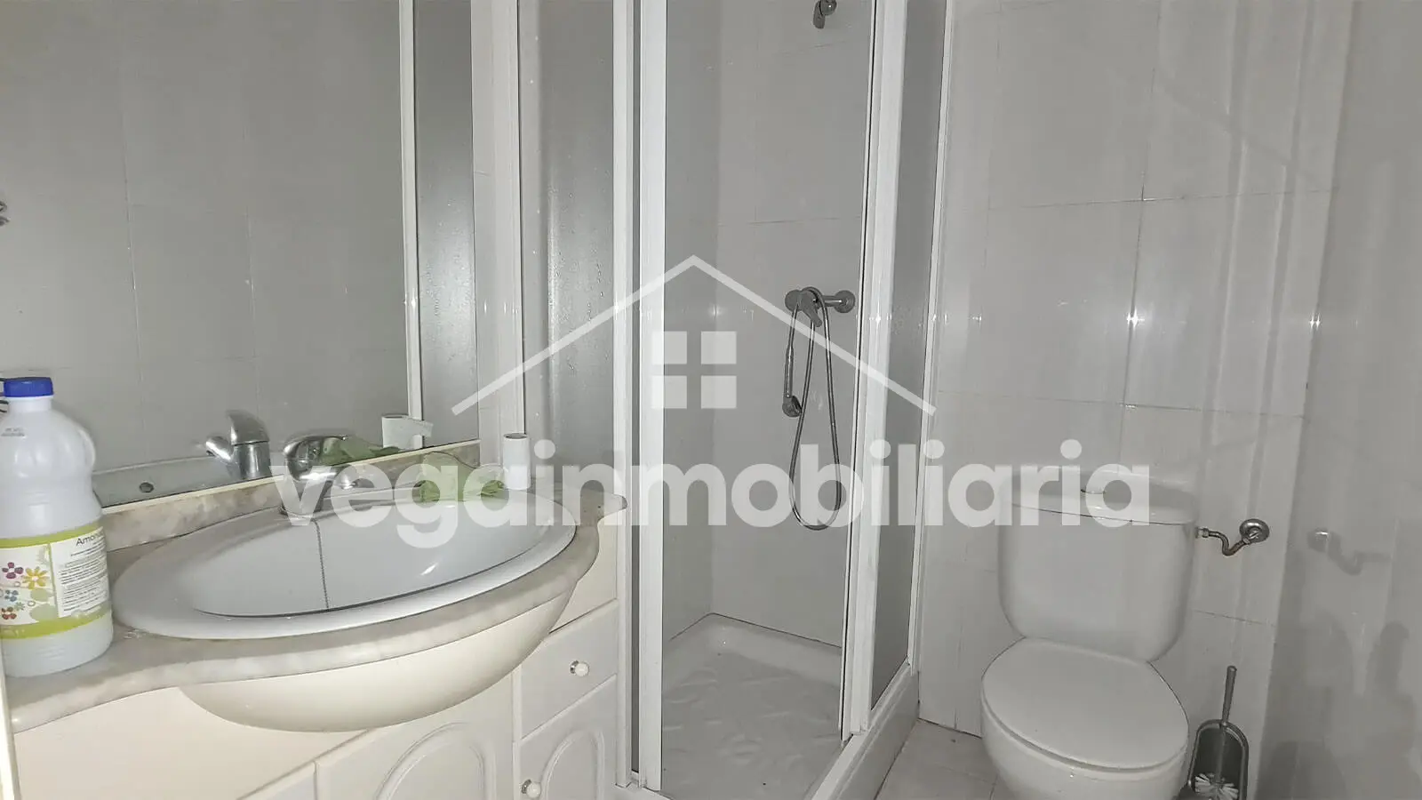 baño-inmueble-156-vega-inmobiliaria
